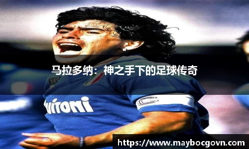 中欧体育网站