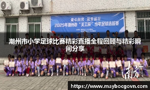中欧体育网站
