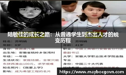 中欧体育全站