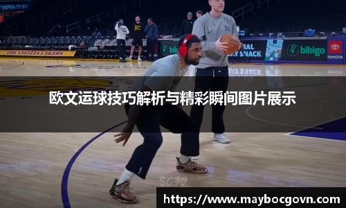 中欧体育全站