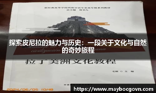 中欧体育官方网址