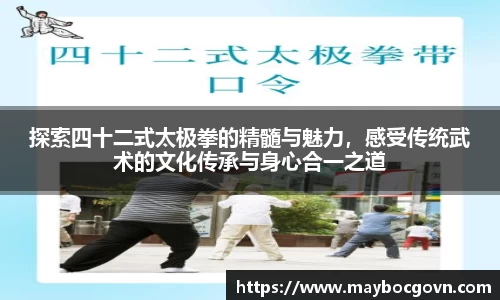 中欧体育网站